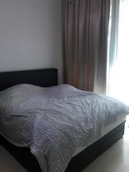Hundred Trees (D5), Condominium #599654231